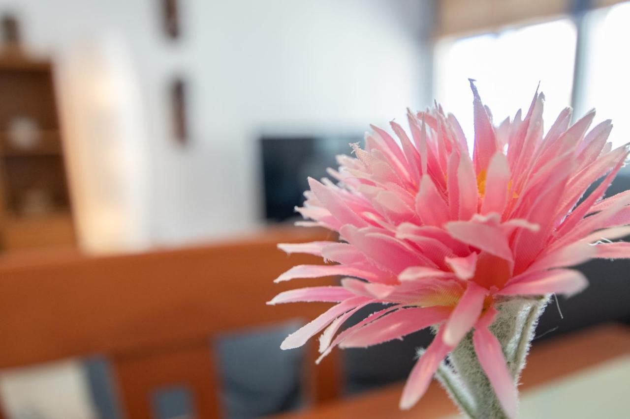 Apartamento Tribalia Καντίζ Εξωτερικό φωτογραφία